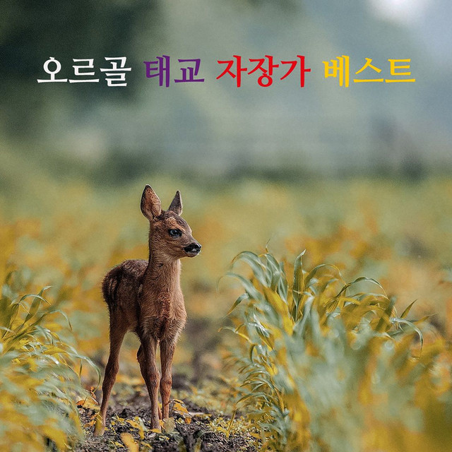 오르골 태교 자장가 베스트 (클래식,동요,찬송가) cover art
