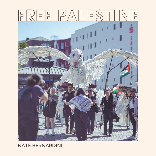 Free Palestine cover