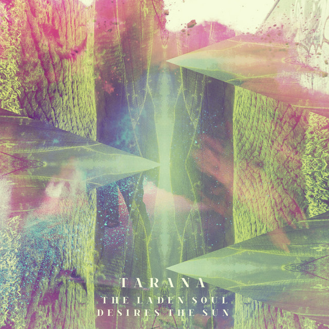The Laden Soul Desires The Sun cover