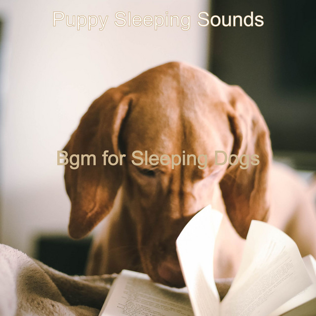 Bgm for Sleeping Dogs cover art