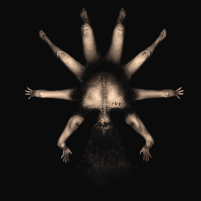 Torso cover art
