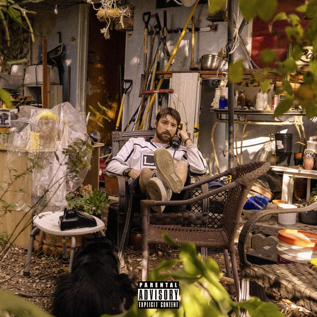 Whole Lotta Shenanigans cover art