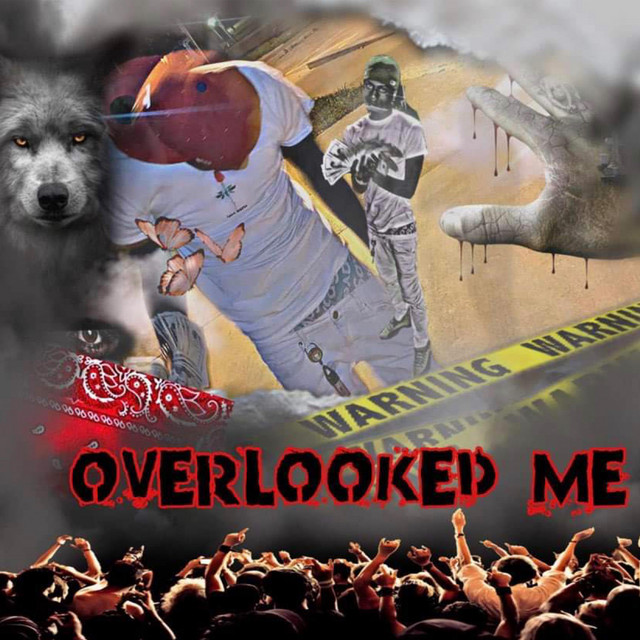 Overlooked Me cover art