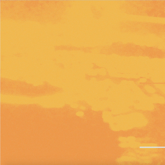 Ochre cover art