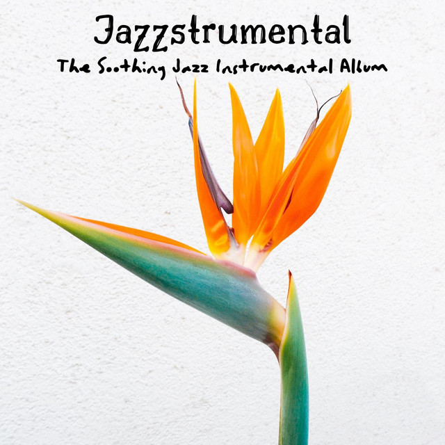 The Soothing Jazz Instrumental Album cover art