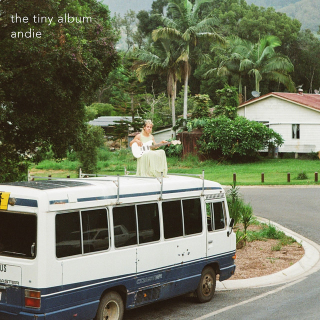the tiny album cover art