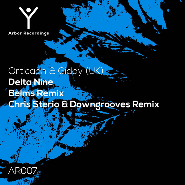 Delta Nine - Belms Remix cover art