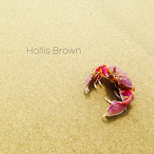 Hollis Brown cover art