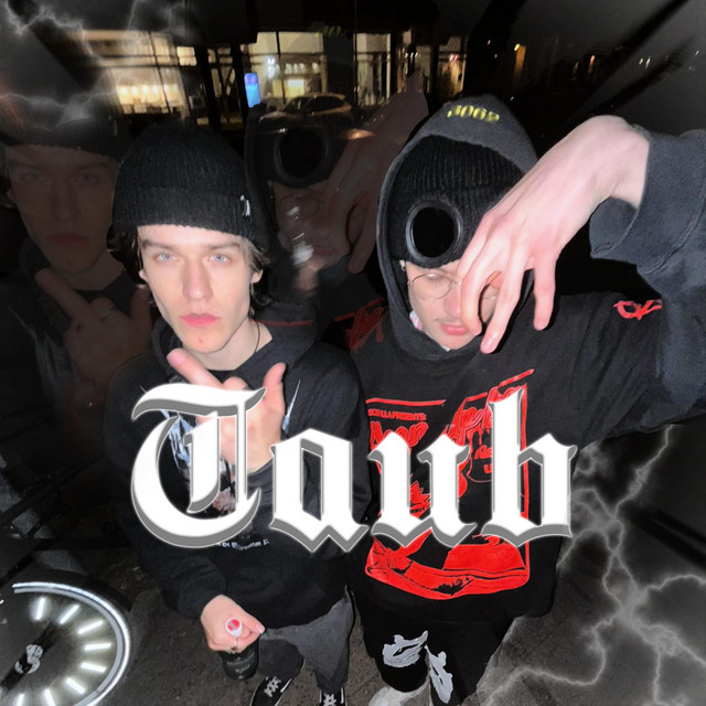 Taub cover art