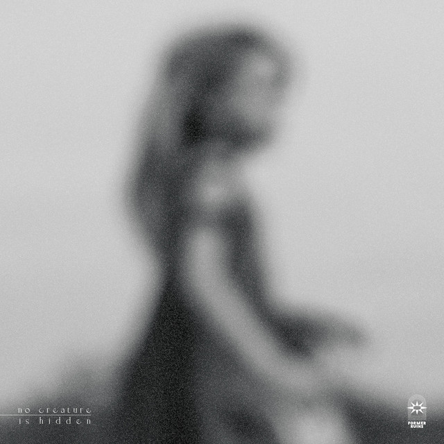 No Creature Is Hidden cover