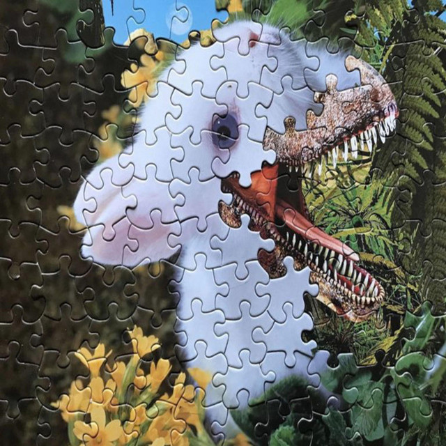 Puzzle cover art
