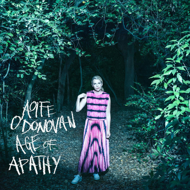 Phoenix by Aoife O'Donovan album cover