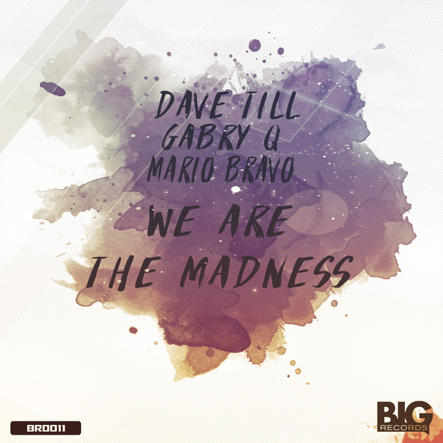 We Are The Madness cover