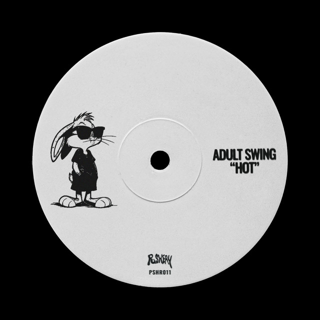 Adult Swing