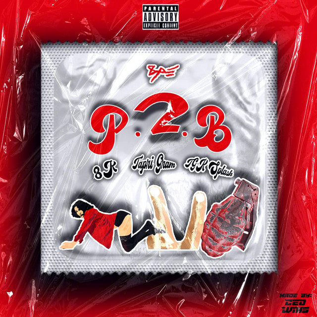 P2B cover art