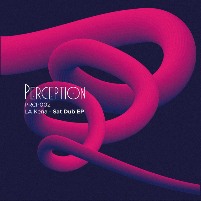 Sat Dub - Paul Rudder Remix album art