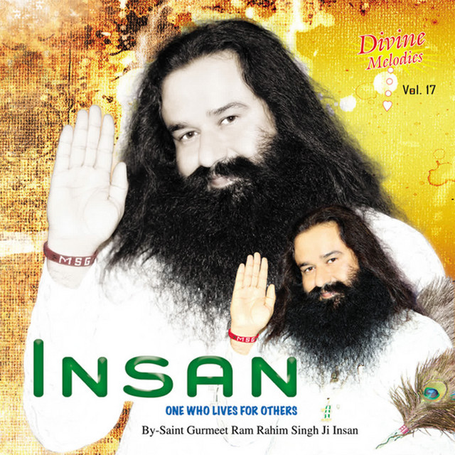 Insan cover art