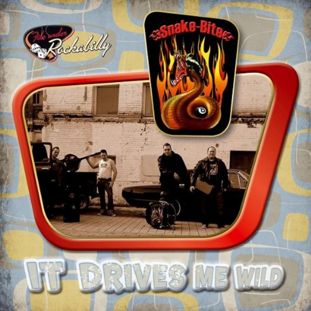 It Drives Me Wild cover art