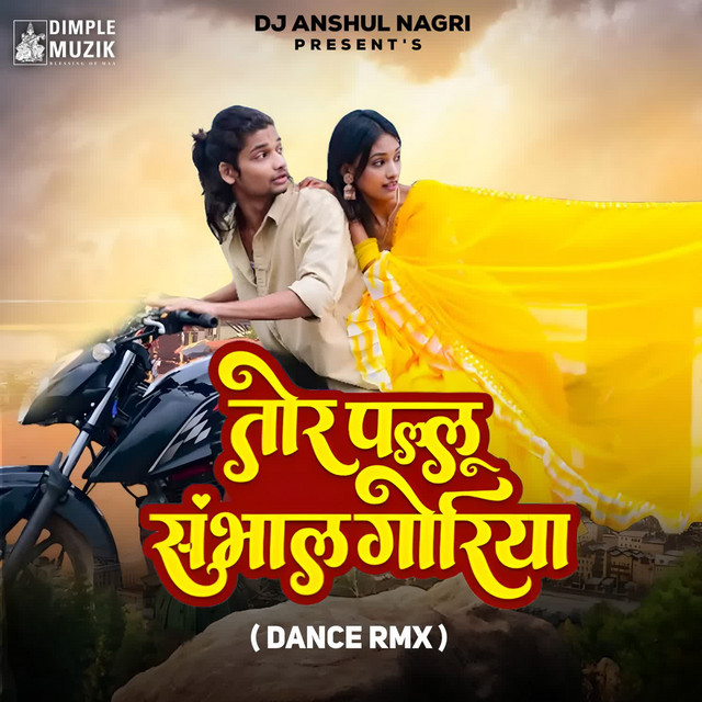 Tor Pallu Sambhal Goriya (Dance Rmx) album image
