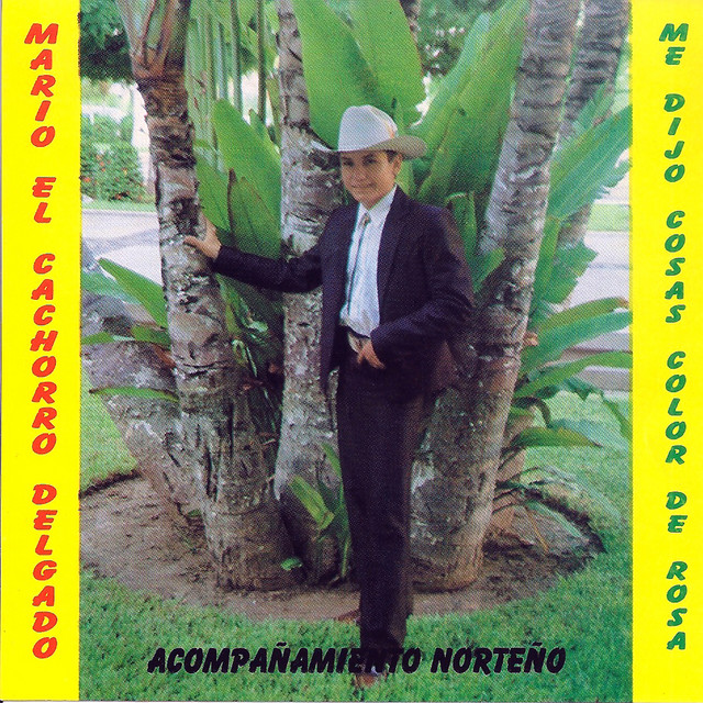 Me Dijo Cosas Color de Color de Rosa cover art