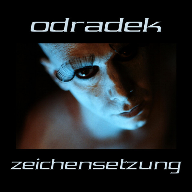 Zeichensetzung cover
