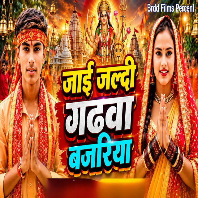 Sachin Yadav