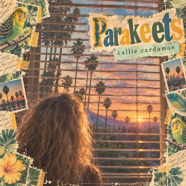 Parakeets cover