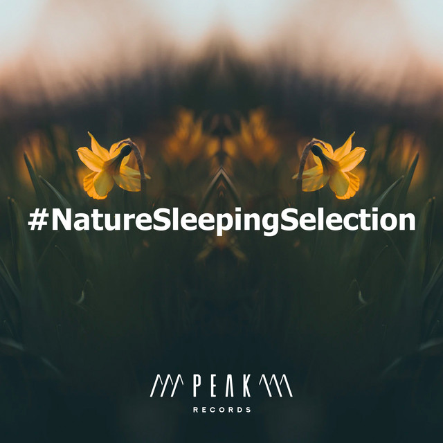 #NatureSleepingSelection - Album by Deep Sleep Nature Sounds | Spotify