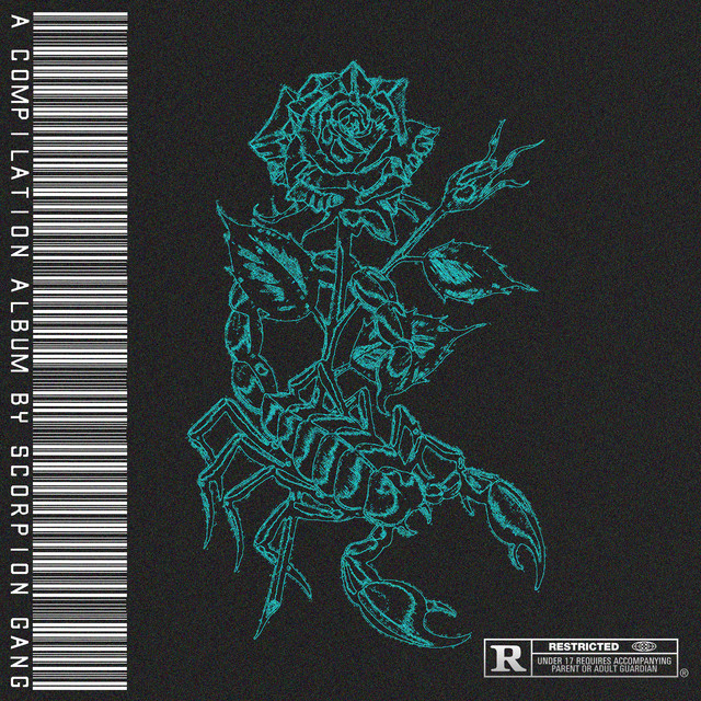 album image