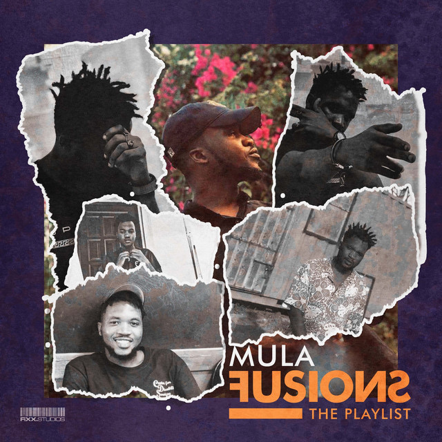 Fusions, The Playlist cover art