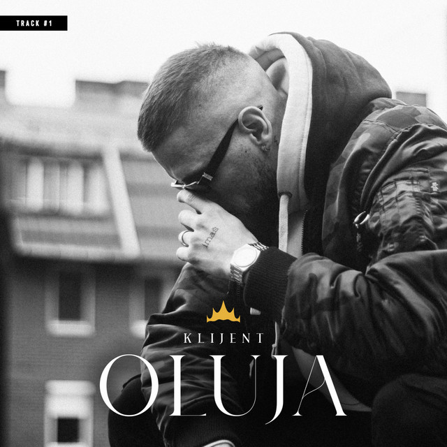 Oluja cover art