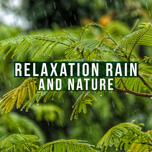 Relaxation Rain and Nature - Album by Musica Relajante | Spotify