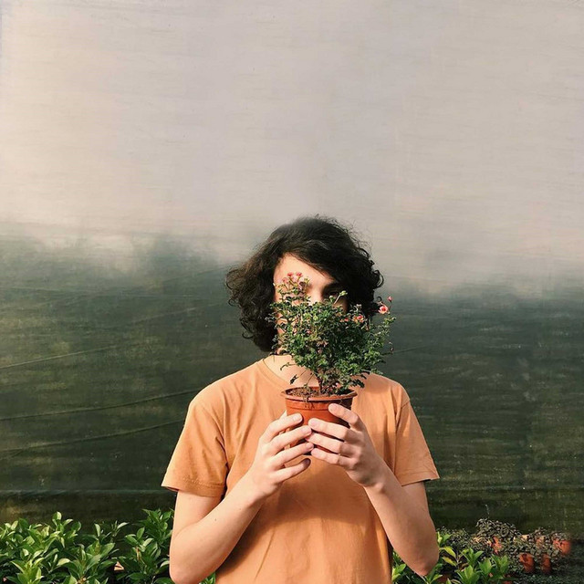 tocar em flores pelado cover art