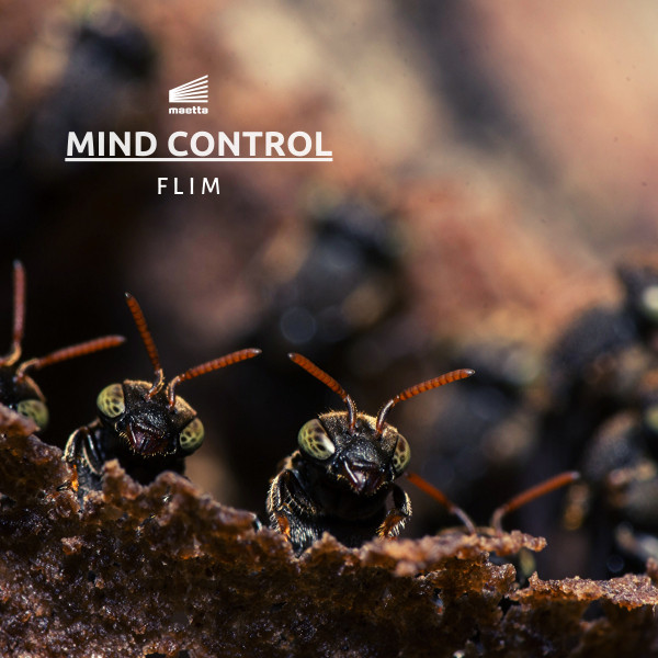 Mind Control - Benny Knox Edit cover art