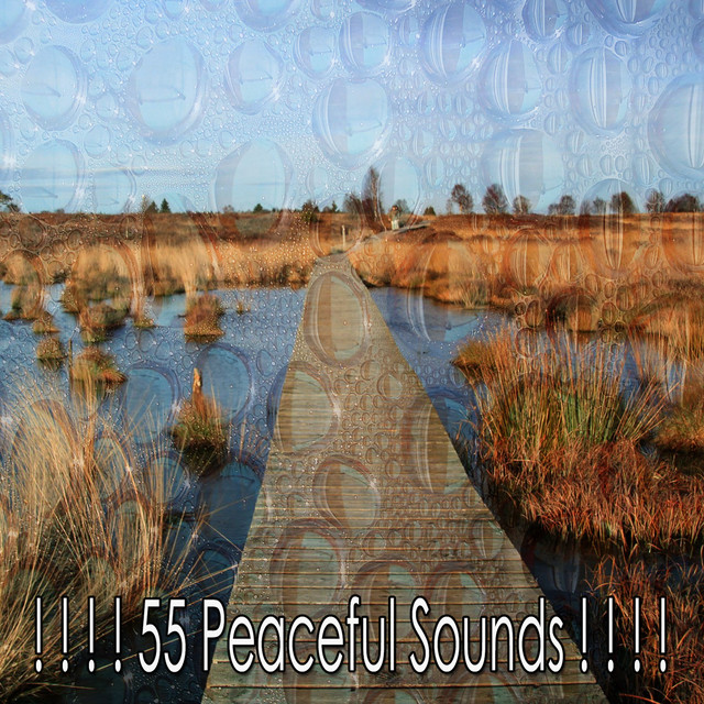 55 Peaceful Sounds ! ! ! ! - Album by Music for Quiet Moments | Spotify