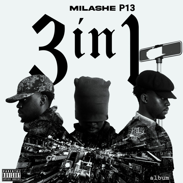 3 IN 1 cover art
