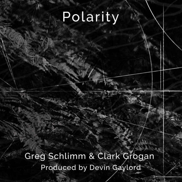 Polarity cover