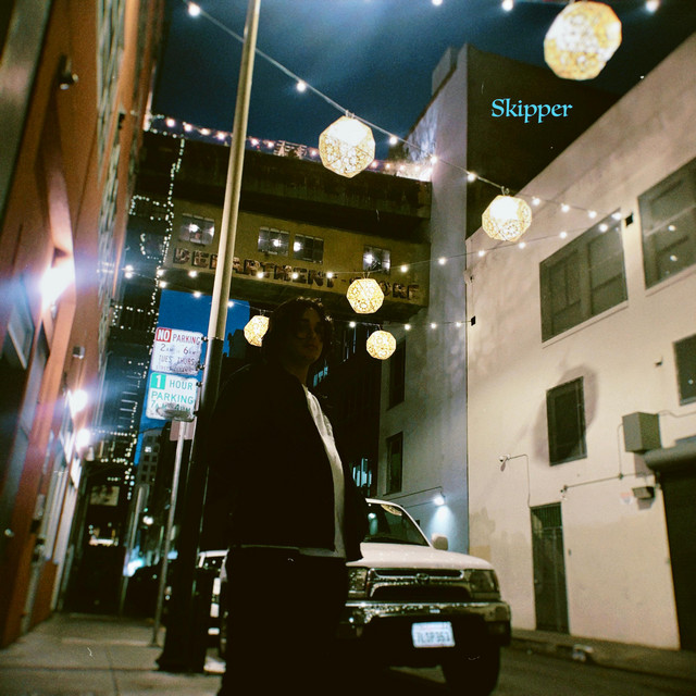 Skipper cover art