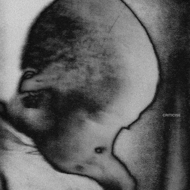 Criticise album image