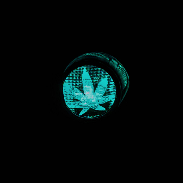 nesting cover art