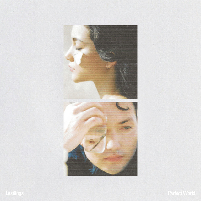 Perfect World cover art