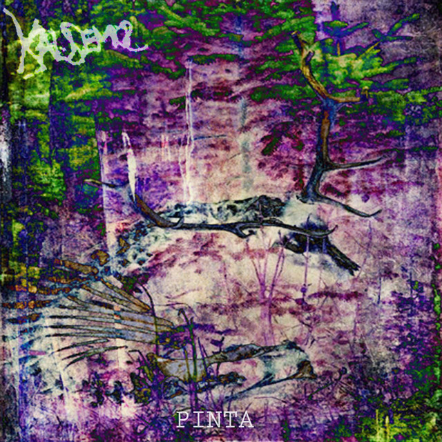 Pinta cover