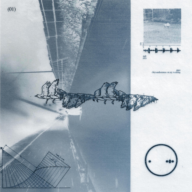 MDI cover art