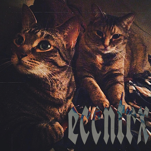Empathetic Necromancy cover art