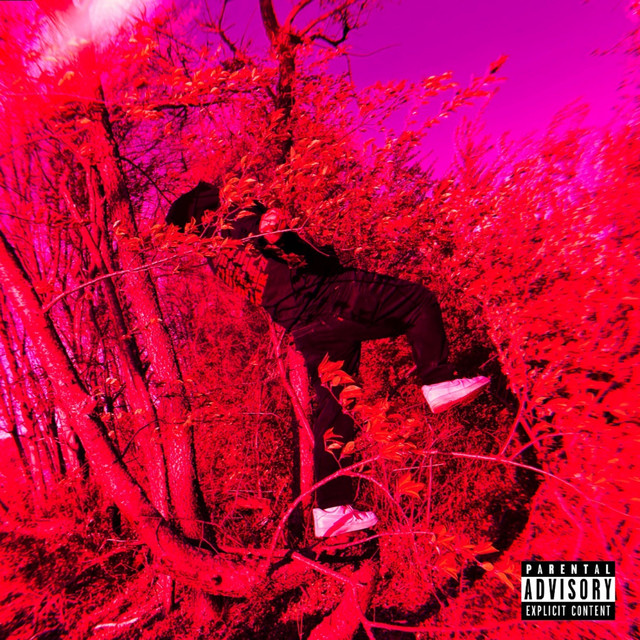 DEATH DEFINES GOLD cover art