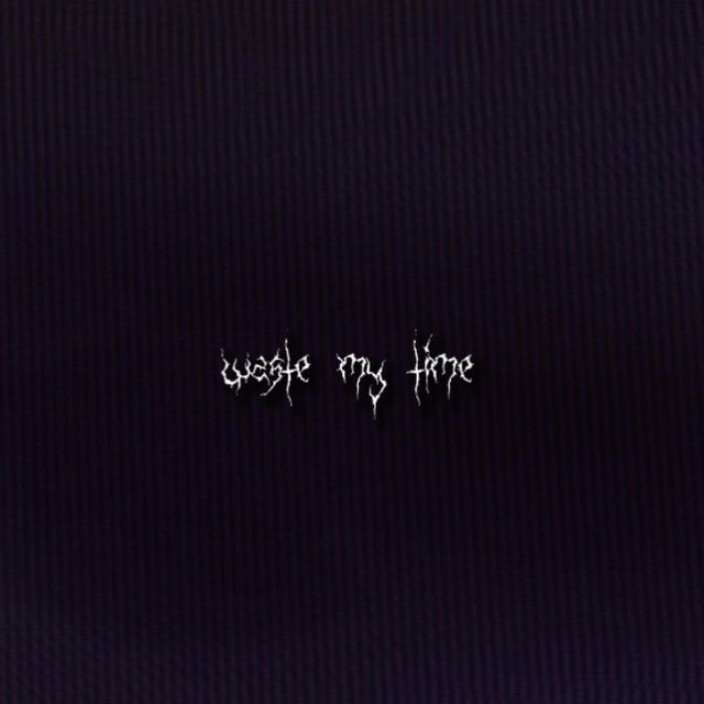Waste my time cover art