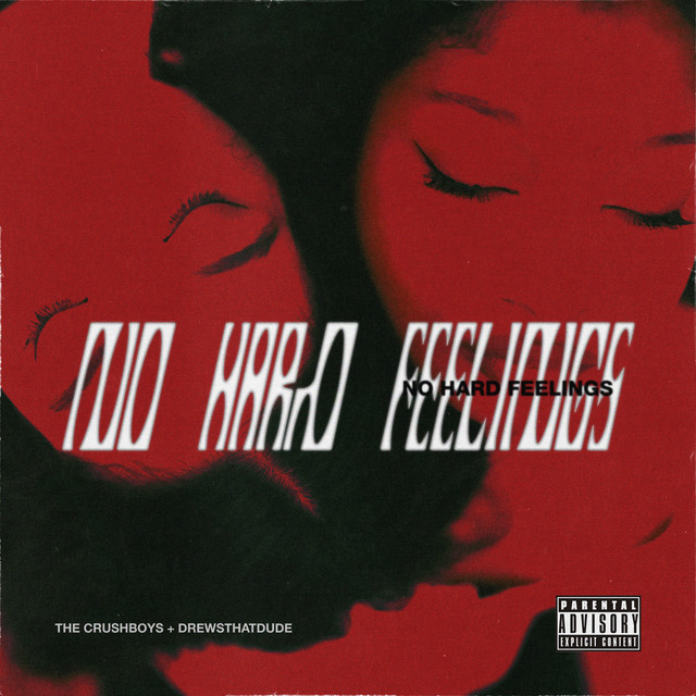 No Hard Feelings cover art