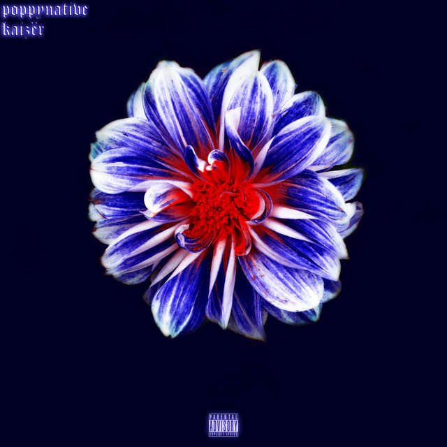 Flowers That Grow At Night Single By Kaiz r Spotify