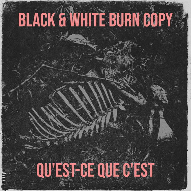 Black & White Burn Copy cover art