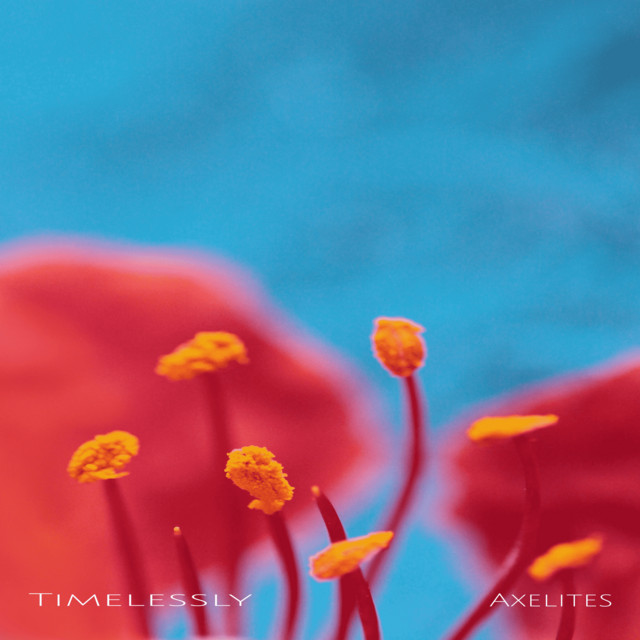 Timelessly cover art